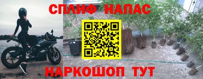 сатива Волгодонск