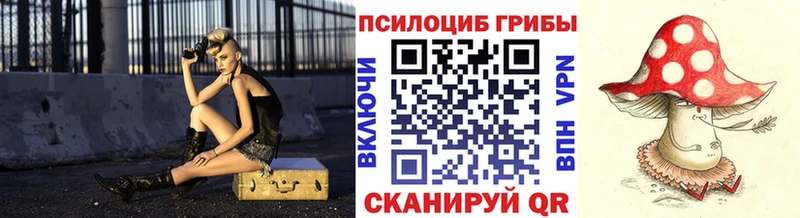 Псилоцибиновые грибы Psilocybine cubensis  Старая Русса 