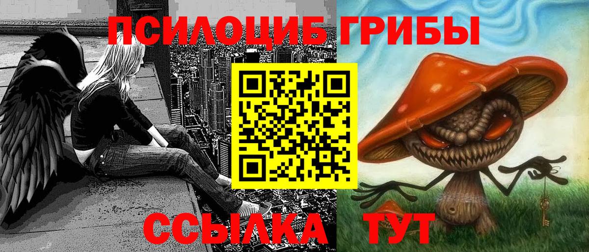 Старая Русса  Галлюциногенные грибы Psilocybine cubensis  Вход с VPN 