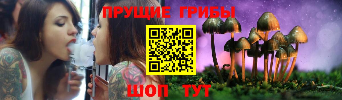 Галлюциногенные грибы Psilocybe  где продают   Старая Русса 
